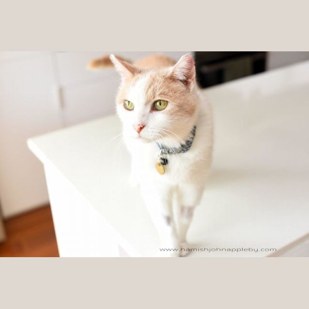 Photo of Sally Polkington 