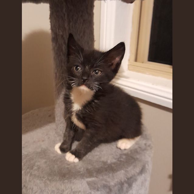 Photo of Patty Cakes