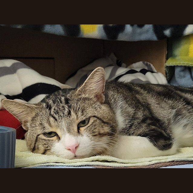 Photo of Tom