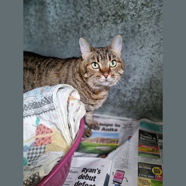 Photo of Izzie