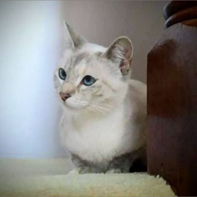 Photo of Damzen
