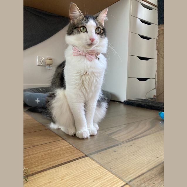 Photo of Greta & Sophie Fluff