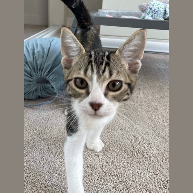 Photo of Theo🙀💙