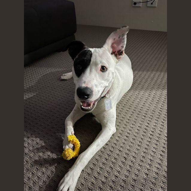 Photo of Lorna Dl2789