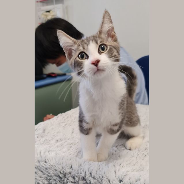 Photo of Caspian And Lilly Rose