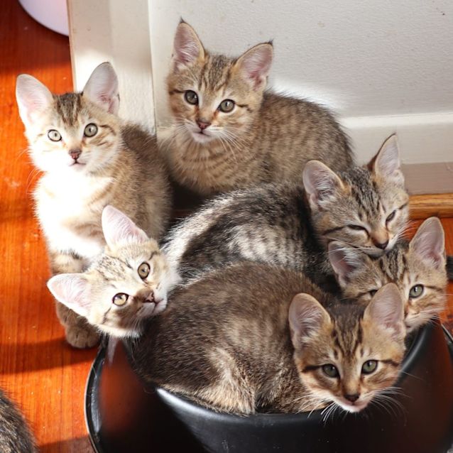 Photo of Marjani & Co