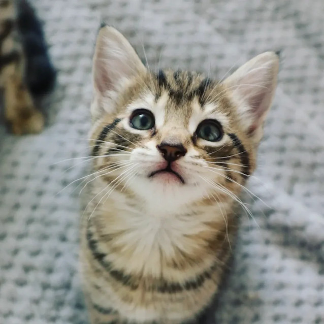 Photo of Marjani & Co