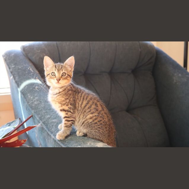 Photo of Marjani & Co