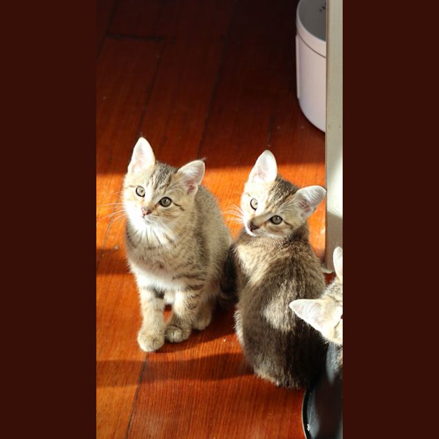 Photo of Marjani & Co