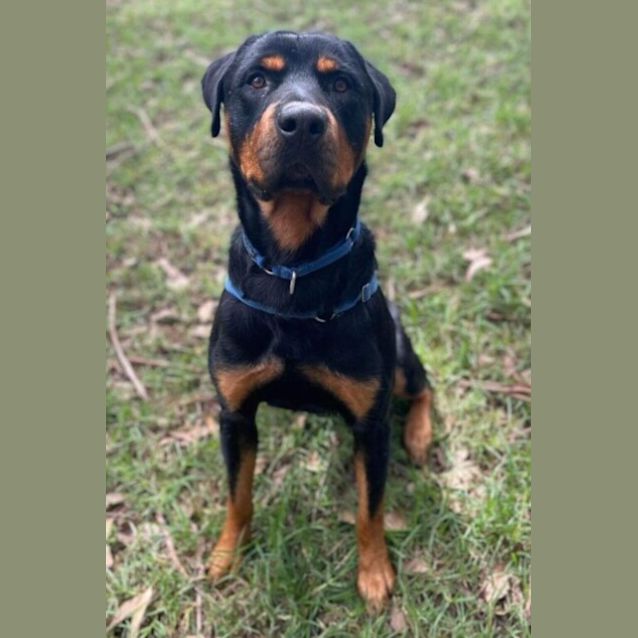 Photo of Atlas
