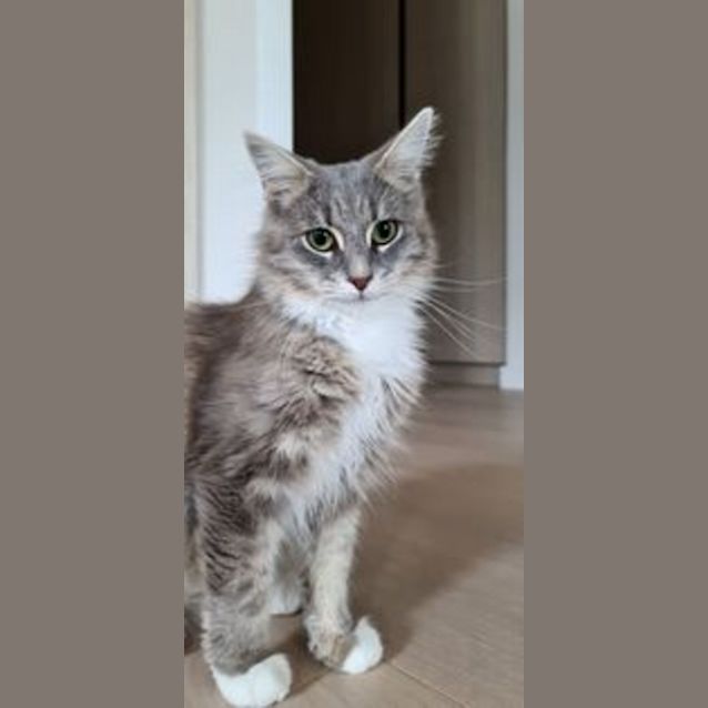 Photo of Skye