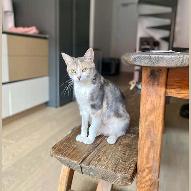 Photo of Dora