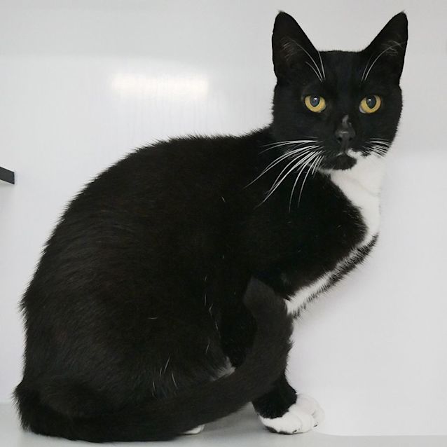 Photo of Milky Way Sua009669