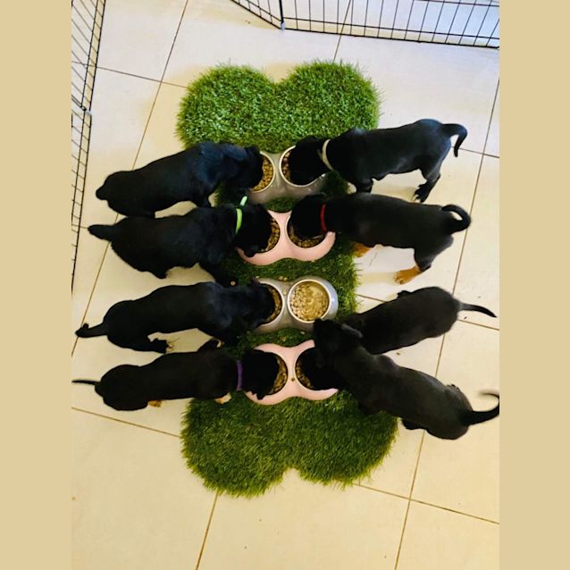 Photo of 1 2 3 4 5 6 7