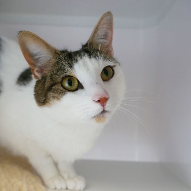 Photo of Pearl Sua009672