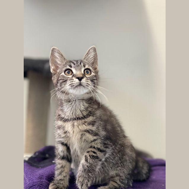 Photo of Billy