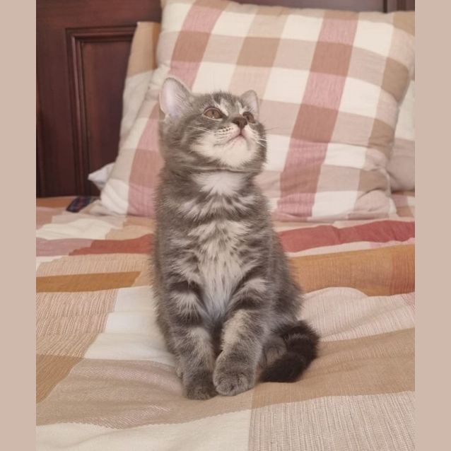 Photo of Vienna & Valentina