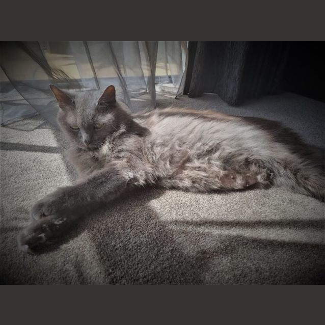 Photo of Hope Sparkle