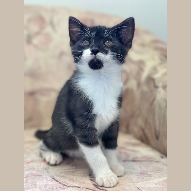 Photo of Zeus