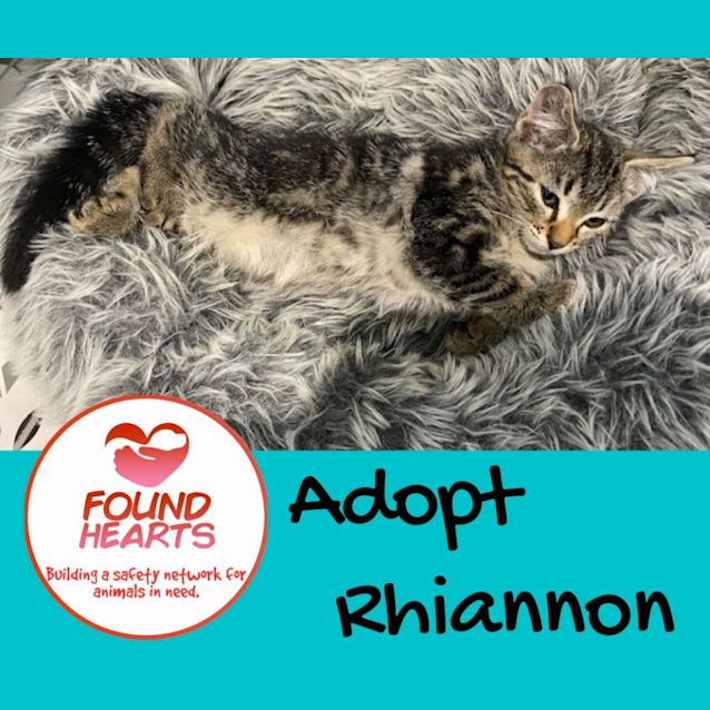 Photo of Rhiannon