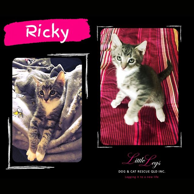Photo of Ricky