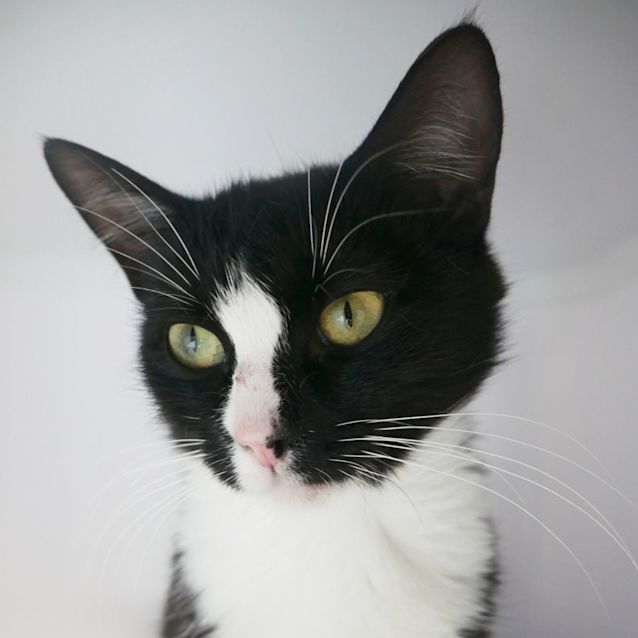 Photo of Tasha Sua009706