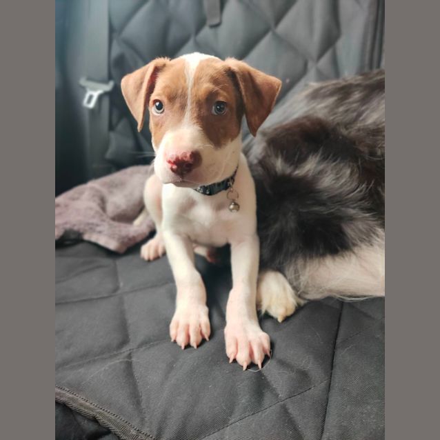 Photo of "We Don't Talk About" Bruno