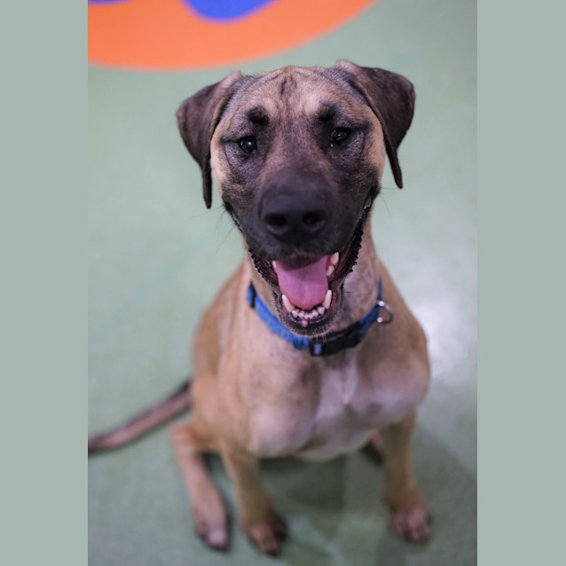 Photo of Harley