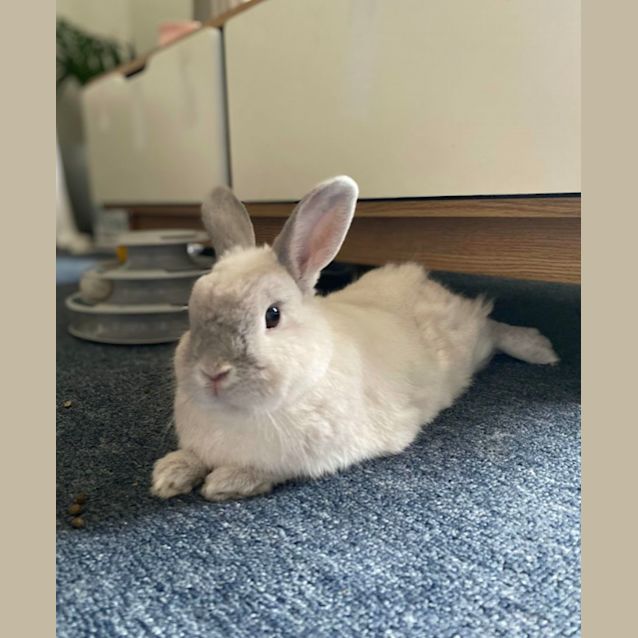 Photo of Tony