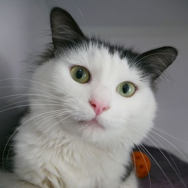 Photo of Patty Sta009678