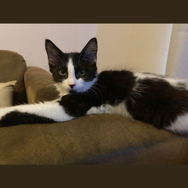 Photo of Bonnie