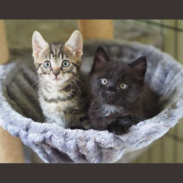 Photo of Milton + Mr Maude 