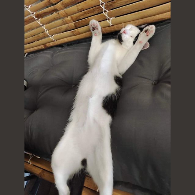 Photo of Winky