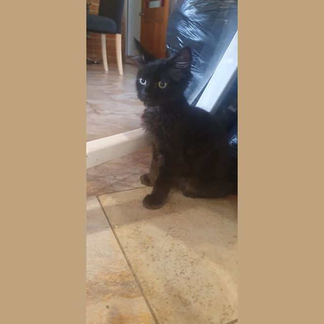 Photo of Raisin