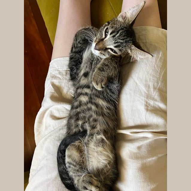 Photo of Timothy   Located In Hawthorne