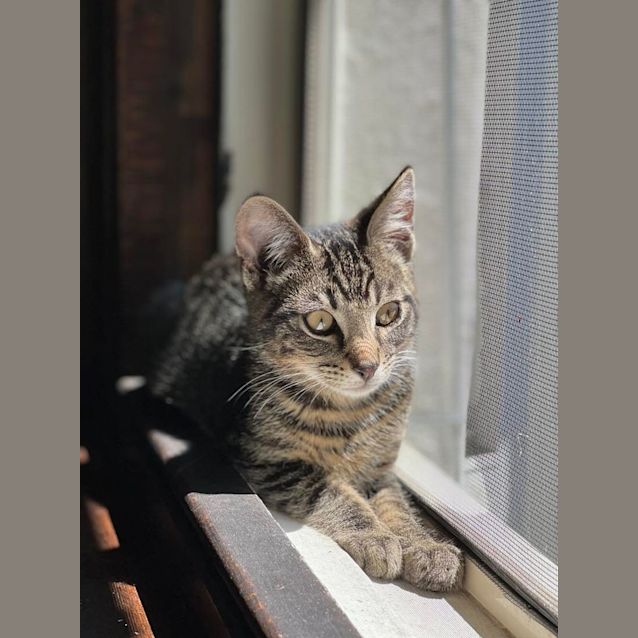 Photo of Ted   Located In Hawthorn