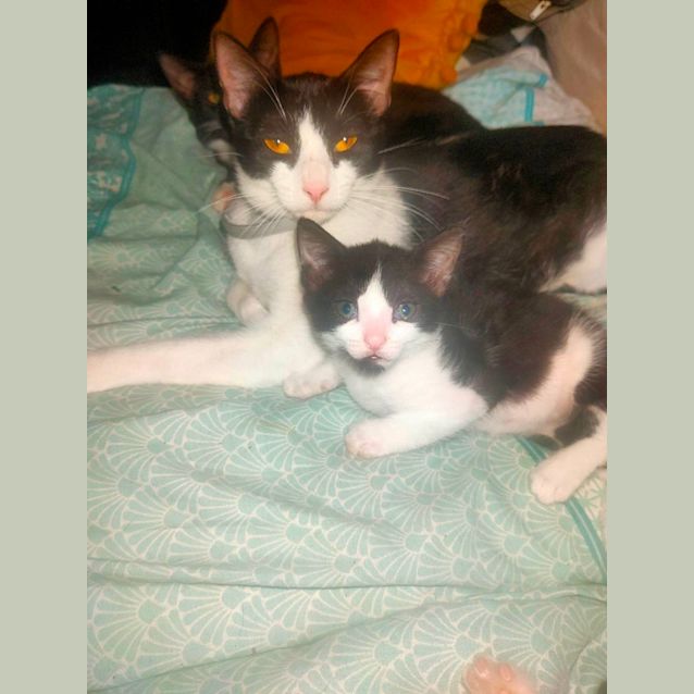 Photo of Archie & Iggy