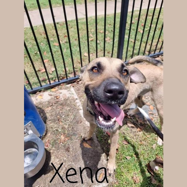 Photo of Xena