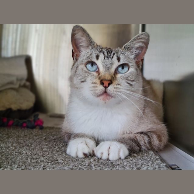 Photo of Frankie
