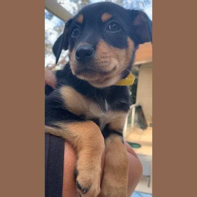 Photo of Belle 
