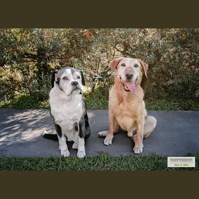 Photo of Angel & Jack