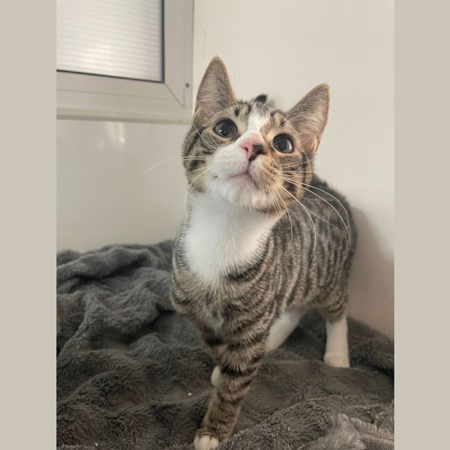 Photo of Tucker