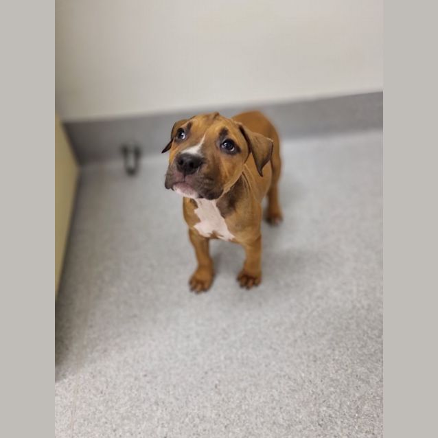 Photo of Jethro
