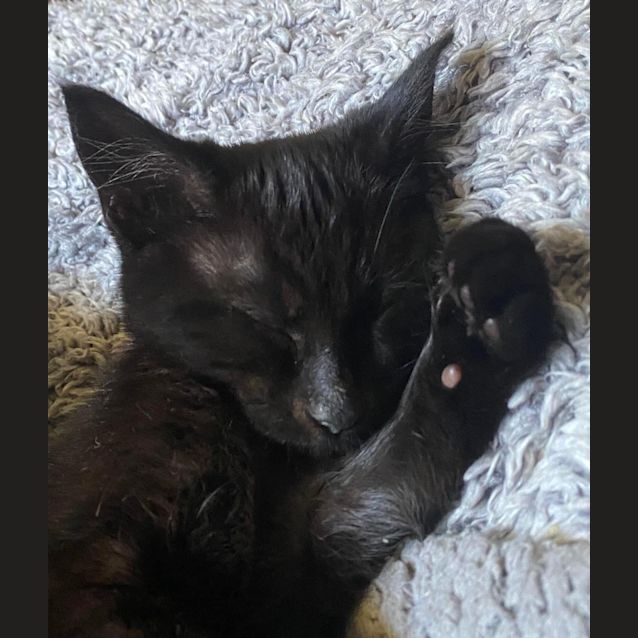 Photo of Mystic