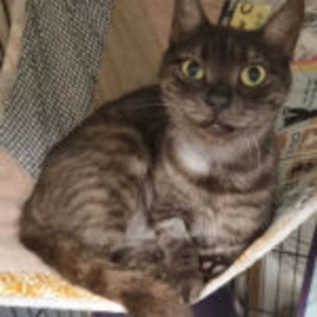 Photo of Tommy & Mia