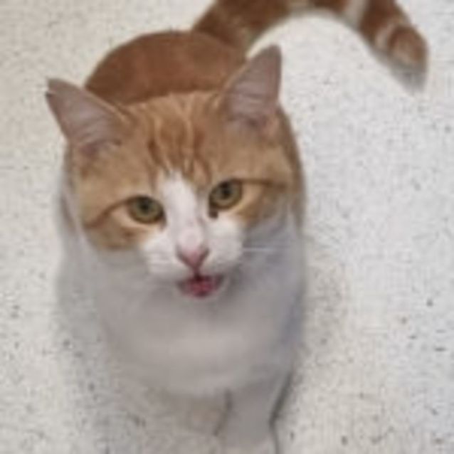 Photo of Tommy & Mia