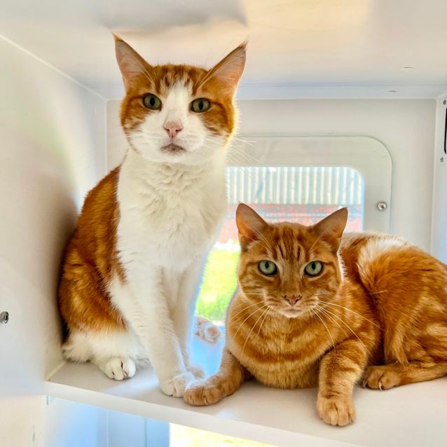 Photo of Roger & Toby