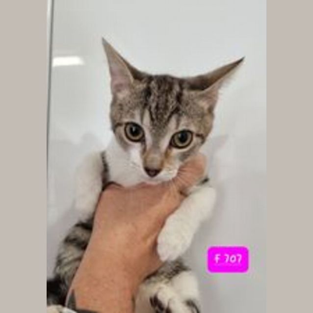 Photo of Sally