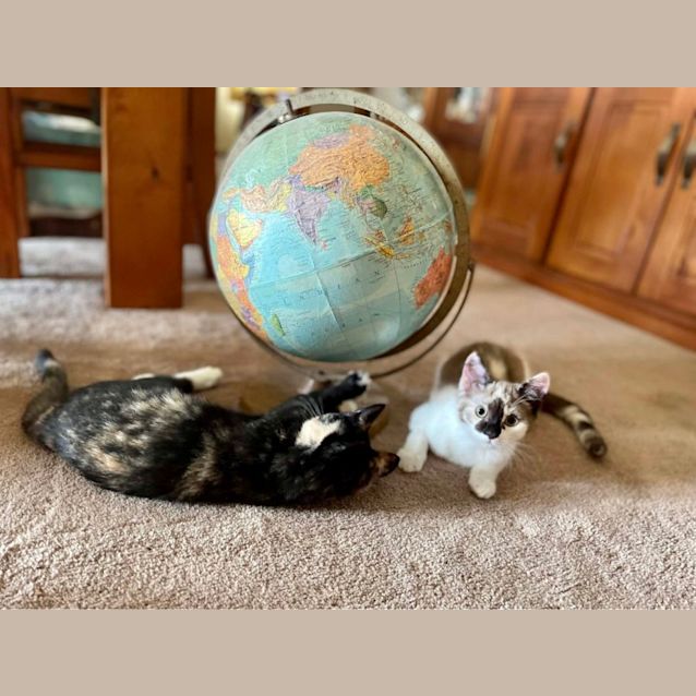 Photo of Sybil And Polly