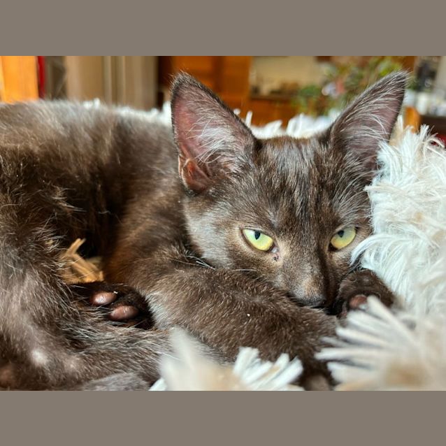 Photo of Blue